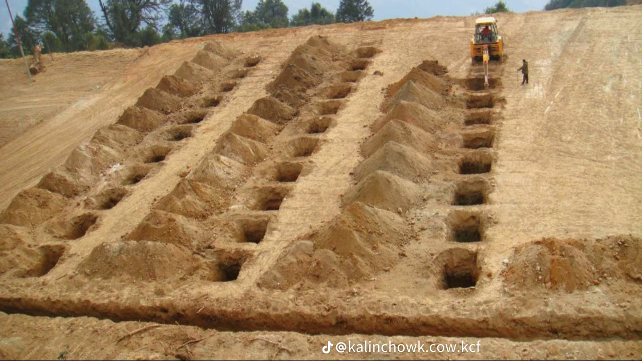 Construction Phase