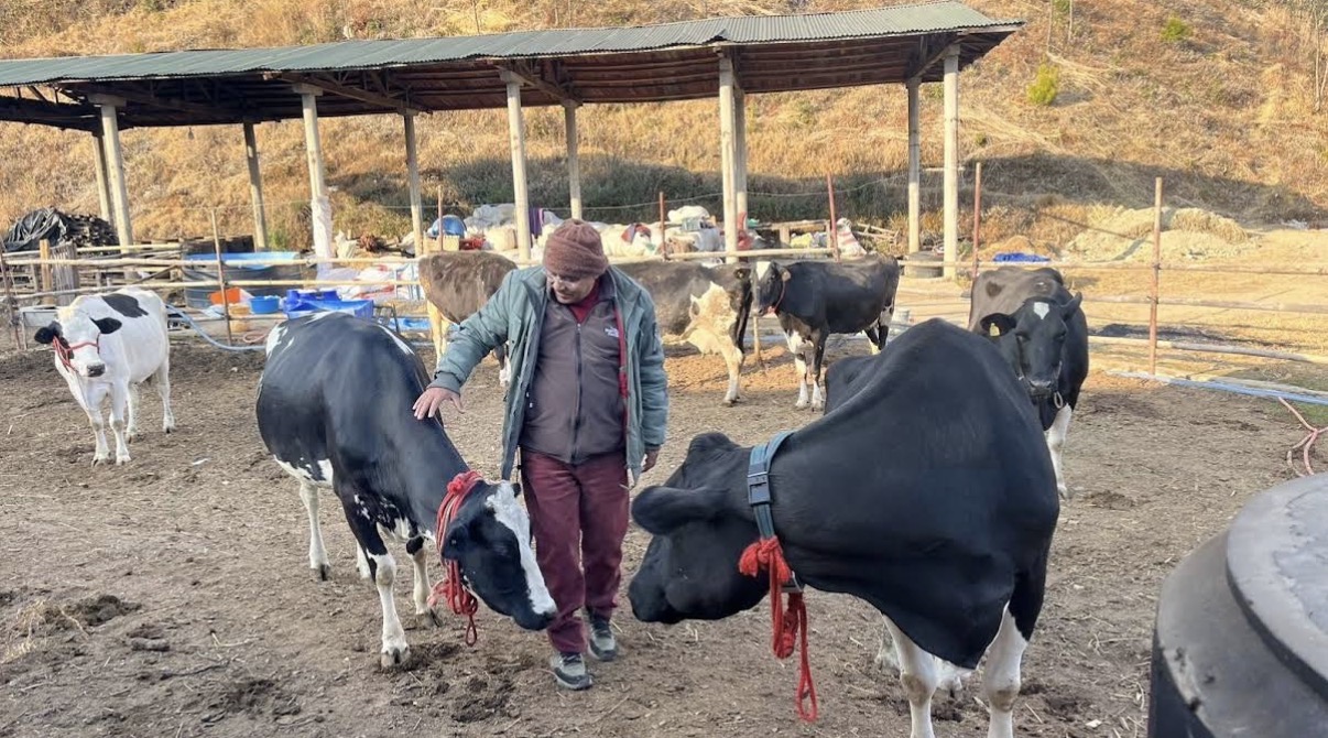 Our Farm