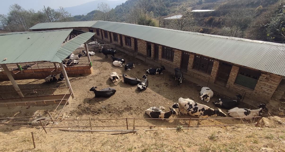 Kalinchowk Farm Landscape